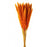 Pluma Decorativa - Orange - Small Pampas Grass - 50/60cm long, approx. 20pcs per pk