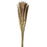 Pluma Decorativa - Natural- Small Pampas Grass - 50/60cm long, approx. 20pcs per pk