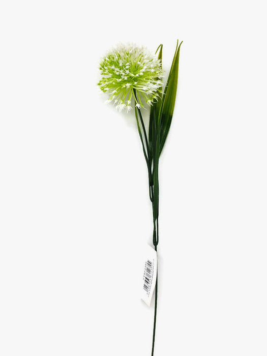 Single Stem Allium - White