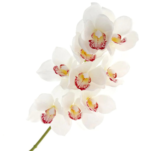 Artificial Real Touch Cymbidium Orchid with 9 heads - Length 70cm - Cream