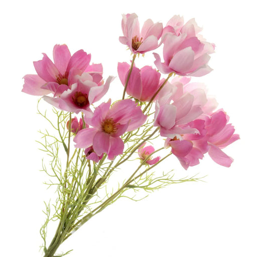 Coreopsis Bundle - Purple/Pink (3 stems, 62cm long)