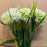 BUNCH 6x Single Stem Allium - White .