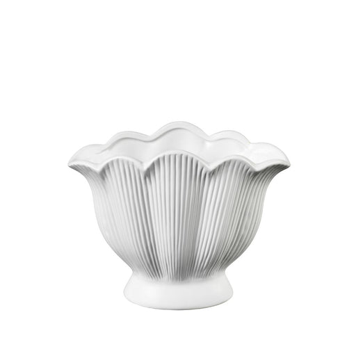 Ceramic Matt White Shell Vase - 21.6cm