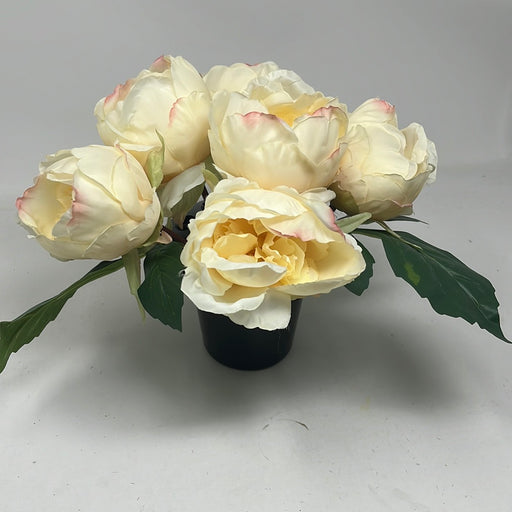 HANDMADE replacement pot with 6 Cream Peonies