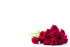 Valentine Florist Message Cards - Red Rose Bunch - Packs of 50