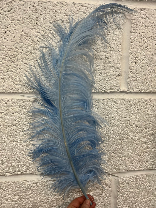 Single Ostrich Feather Baby Blue