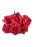 6 Head Foam Rose Bunch - Warm Red