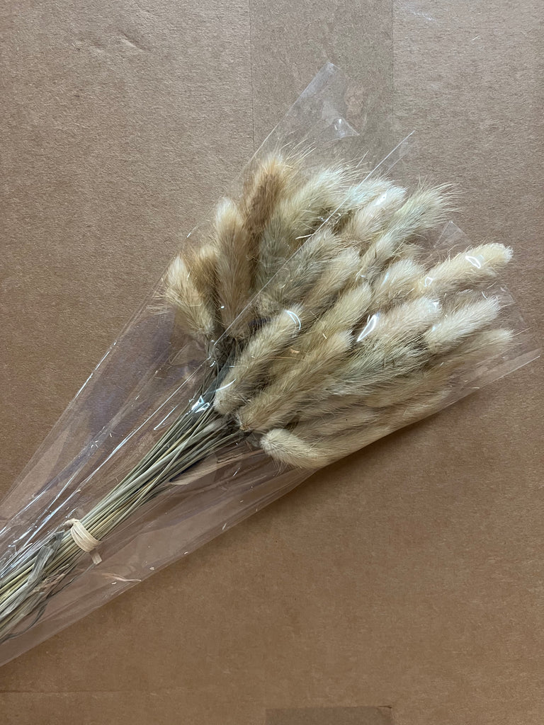 Dried Bunny Tail Bunch X 45cm - Natural — Artificial Floral Supplies