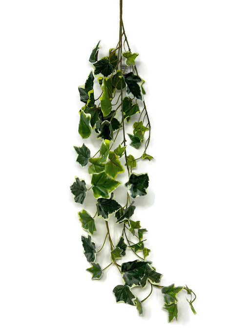 Mini Trailing Ivy x 70cm - Variegated