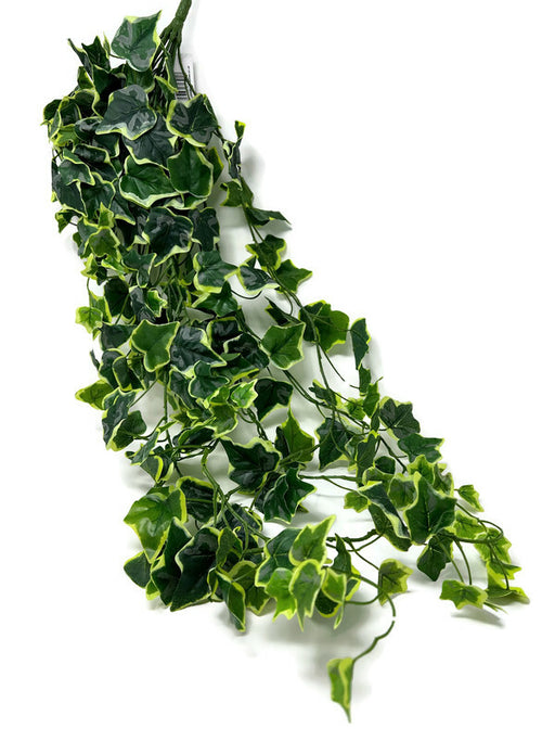 Trailing Ivy Leaves x 120cm - Variegated Green