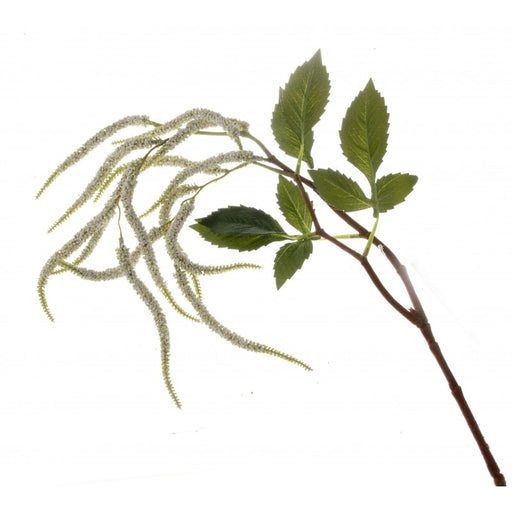 Amaranthus Spray - White - 95cm long, 14 heads