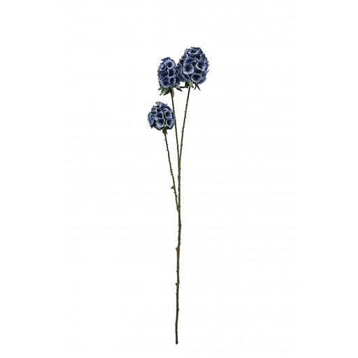 3 Head Artificial Scabiosa Stellata x 71cm long - Blue