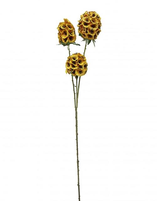 3 Head Artificial Scabiosa Stellata x 71cm long - Yellow