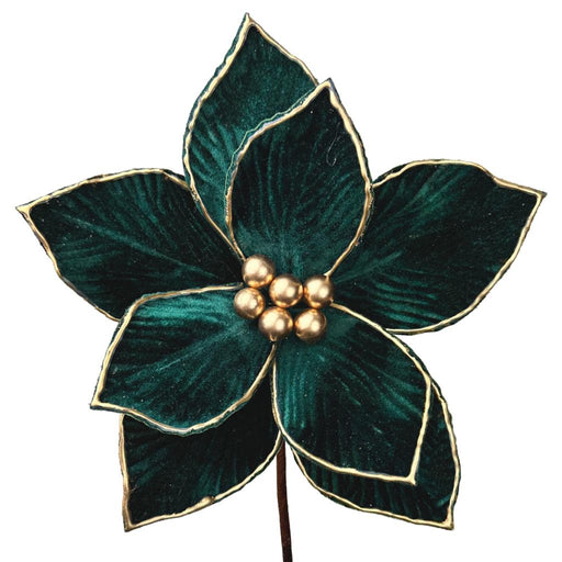 25cm gold Edge Poinsettia Green