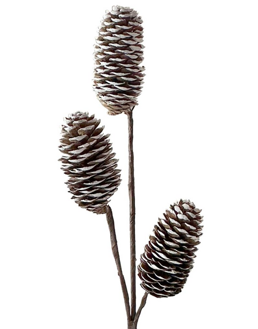 38cm - 3 Frosted Pine Cone Pick