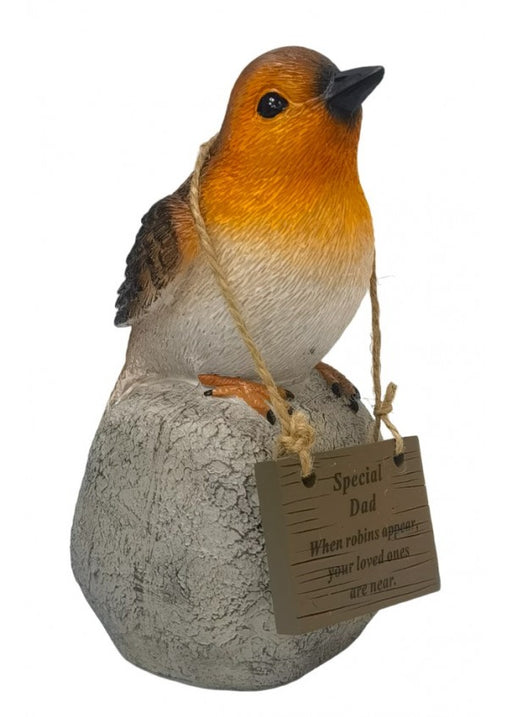 Robin on a Rock with Hanging Plaque - Special Dad