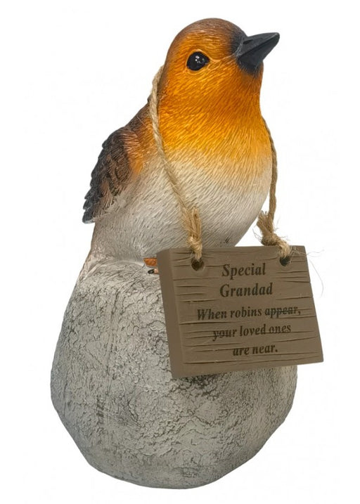 Robin on a Rock with Hanging Plaque - Special Grandad