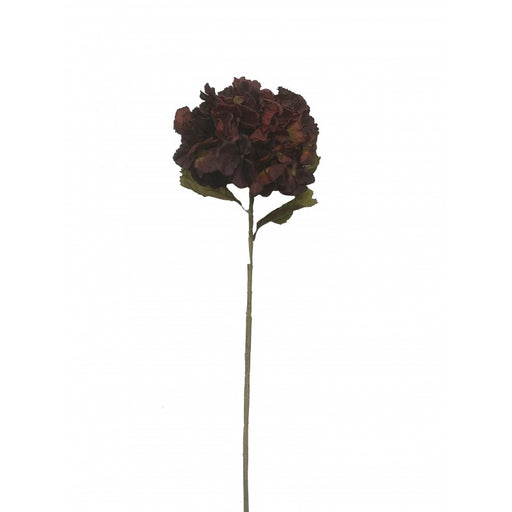 Dry Hydrangea - Burgundy (25cm diameter, 80cm long)