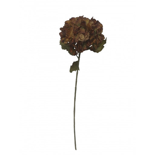 Dry Hydrangea - Orange (25cm diameter, 80cm long)