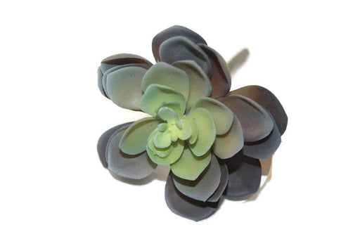 Realistic Artificial Succulent Echeveria - Green Mauve