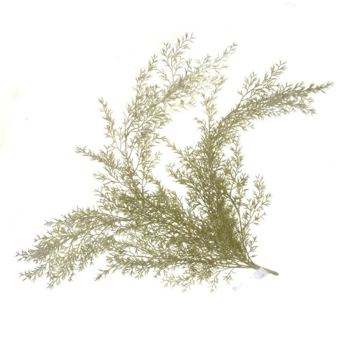 Feathered Fern Bush 78cm Length - Green/White