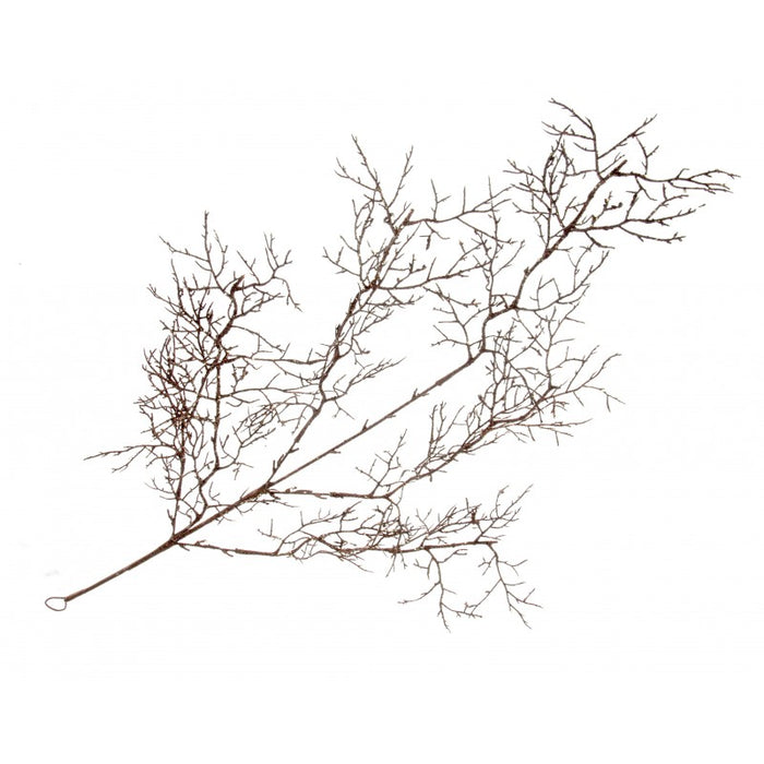 Glittered Twig Spray - Brown - 88cm long