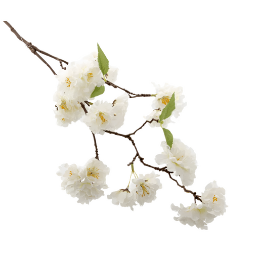 Cherry Blossom Spray x 75cm long - Cream 