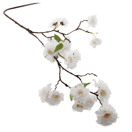 Cherry Blossom Spray x 75cm long - White