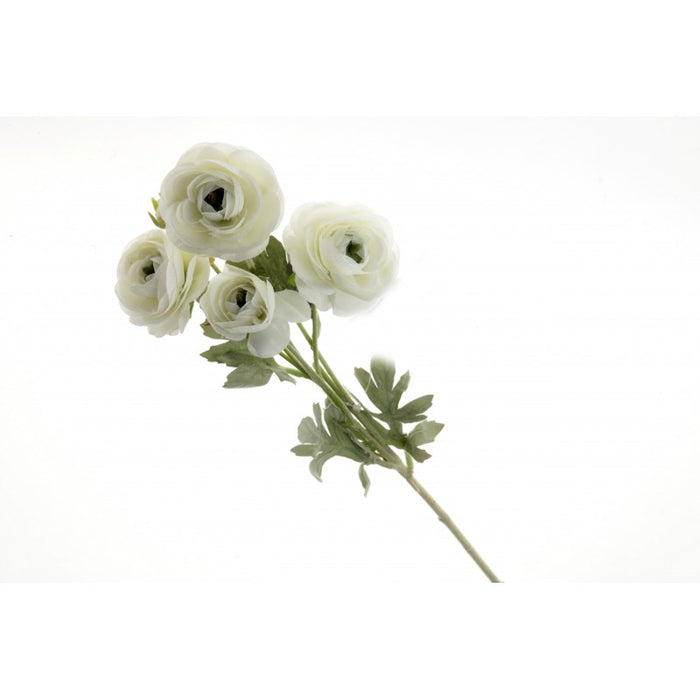 6 Head Mini Ranunculus Stem - 67cm long - Cream/Ivory