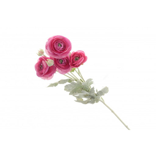 6 Head Mini Ranunculus Stem -  67cm long - Hot Pink