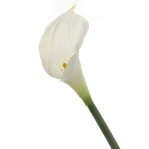 Real Touch Calla Lily - White/Cream (68cm long)