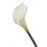 Real Touch Calla Lily x 68cm - White/Cream