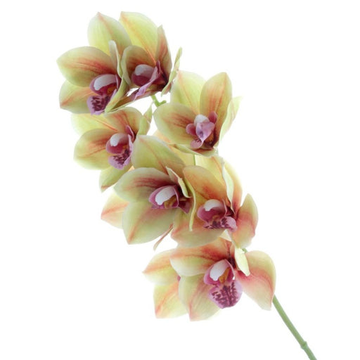 Artificial Real Touch Cymbidium Orchid with 9 heads - Length 70cm - Green