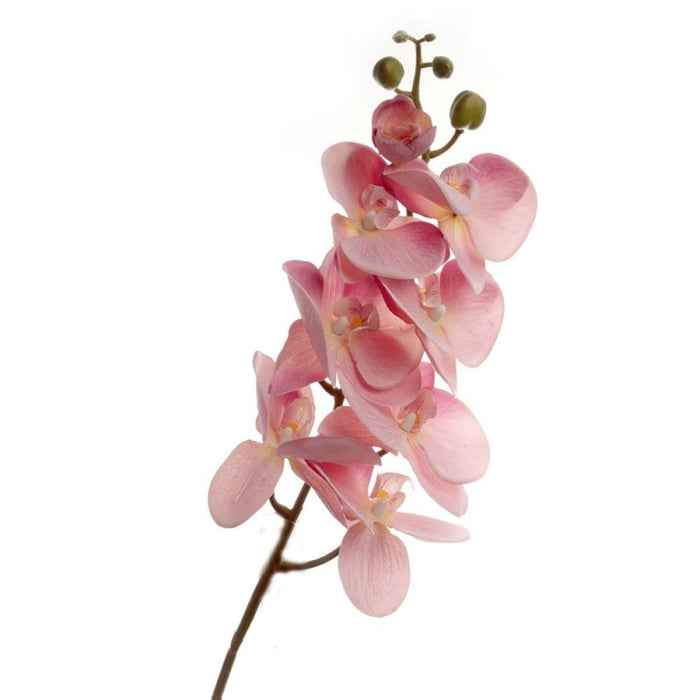 Real Touch Phalaenopsis Orchid -Mauve  - 8 heads, 99cm long