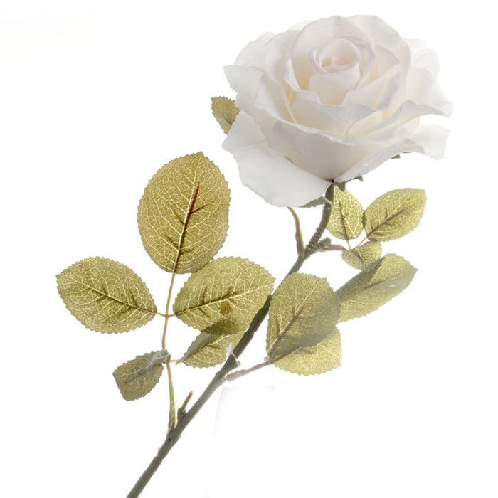 Rose - Cream - 70cm long