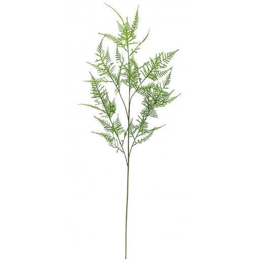 Single Asparagus Fern Spray - Green x 107cm long