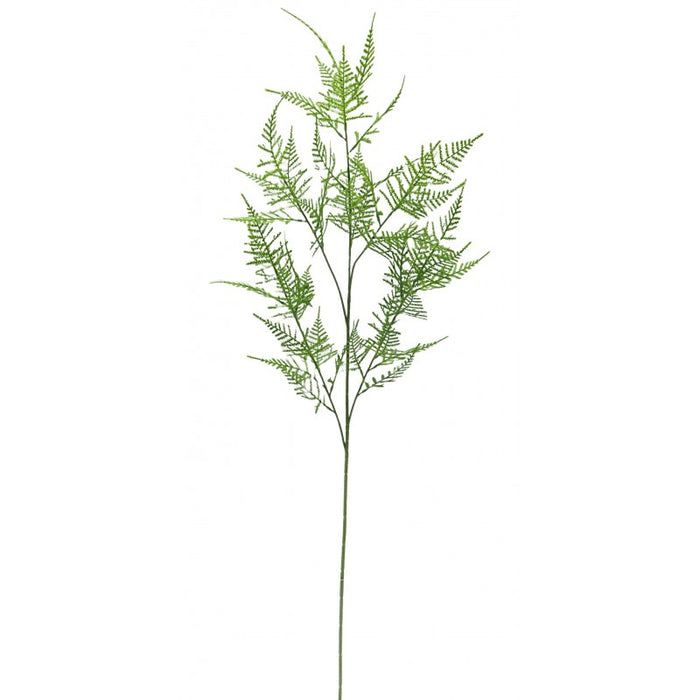 Single Asparagus Fern Spray - Green x 107cm long