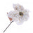 Single Glittered Poinsettia - Cream (25cm diameter, 53cm long)