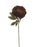 16cm Diameter Single Stem Peony Flower x 78cm long - Deep Brown