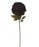 16cm Diameter Single Stem Peony Flower x 78cm long - Deep Purple