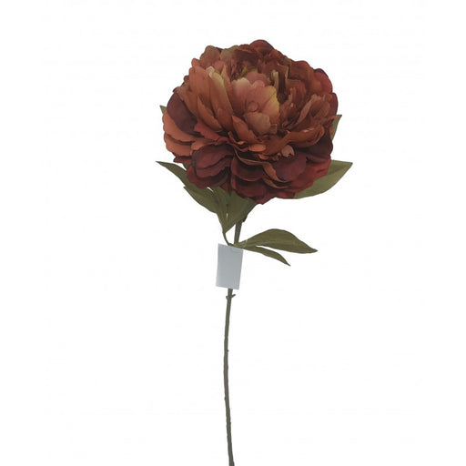 Single Peony - Deep Red (16cm diameter, 78cm long)