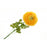 Single Ranunculus - 60cm long - Yellow