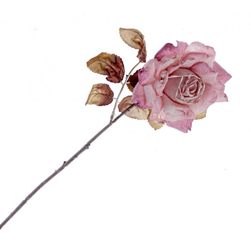 Single Stem Dried Look Rose x 62cm - Pink