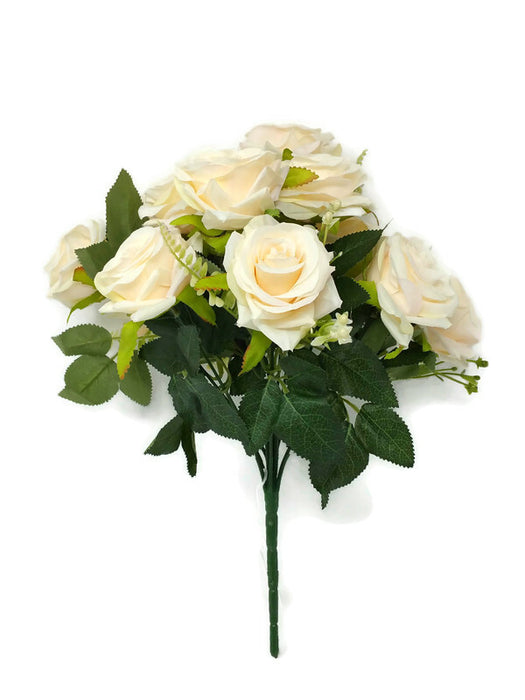 12 Head Rose Bush x 36cm - Apricot Cream