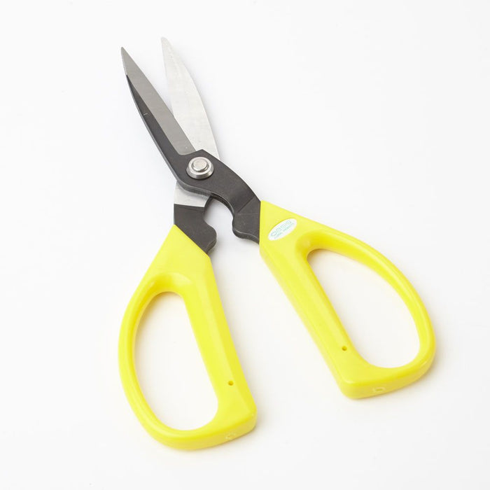 Economy Carbon Blade Universal Scissors