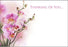 50 Florist Cards - Thinking of You - Orchids