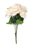 7 Head Rose Bush x 40cm - Apricot Pink