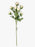 7 Head Rose Spray x 55cm - Ivory