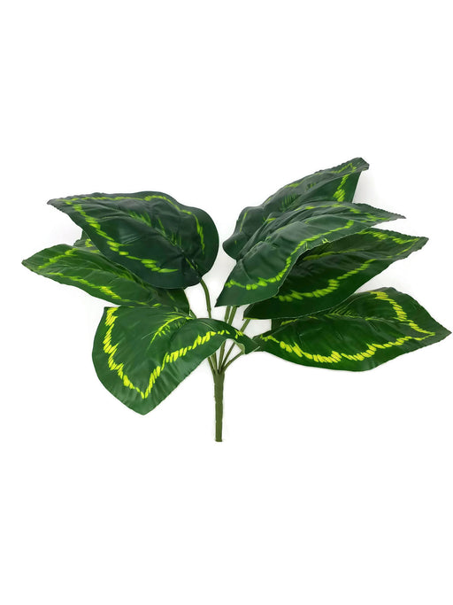 Large Variegated Leaf Bush - Lime x 35cm