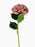 Antique Lilac/ Pink Hydrangea Stem x 70cm